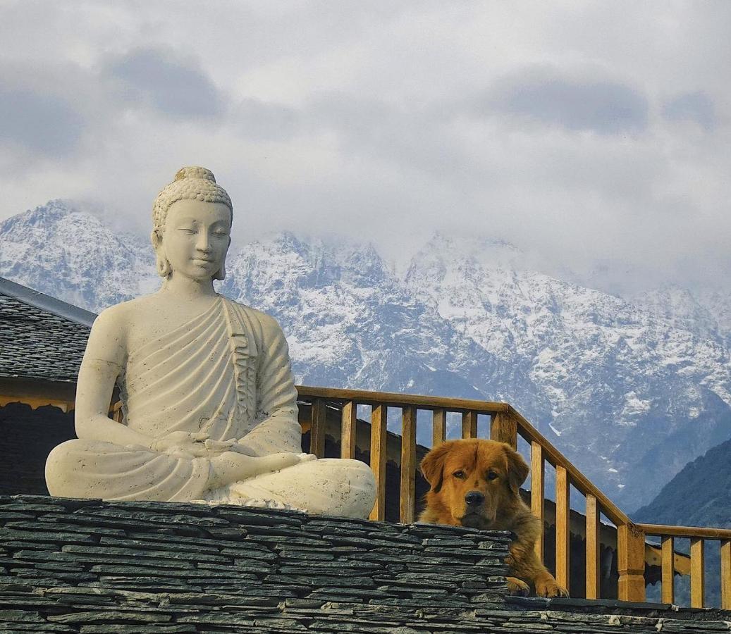 Osho Himalayas Wellness Resort Kangra Kültér fotó